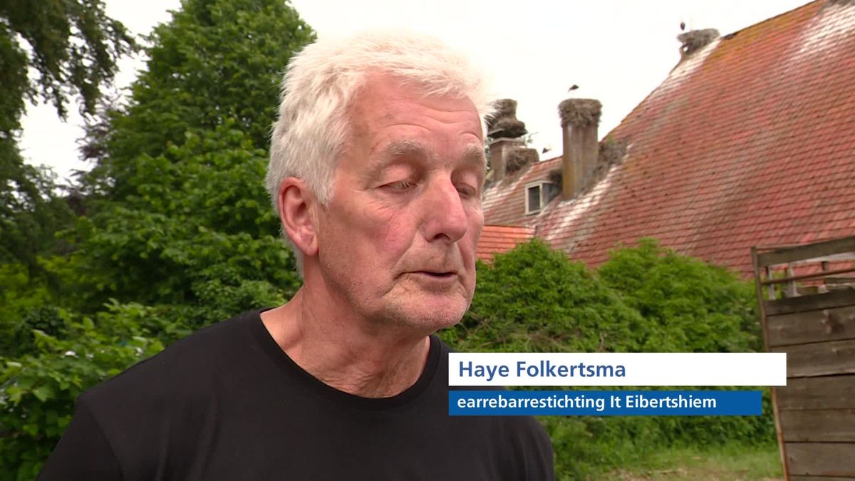 Ooievaars in Beetsterzwaag