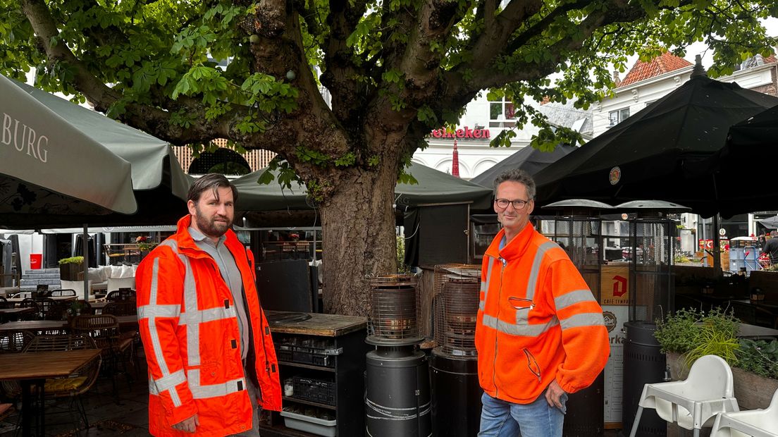 Bert van Eck en Joos Eggebeen bij de monumentale boom in Middelburg