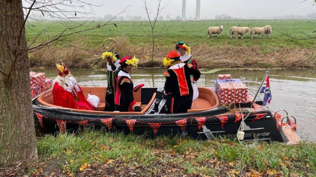 Een stel schapen kijkt in Sauwerd toe of de Sint wellicht ook een pakje voor hen heeft meegenomen