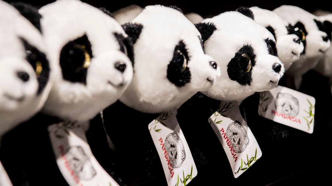 Een speciale pandashop in Ouwehands Dierenpark.