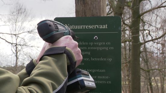 Natuurgebied Het Zwarte Gat bij Zuidwolde dicht voor honden na aanvallen van Schotse hooglanders