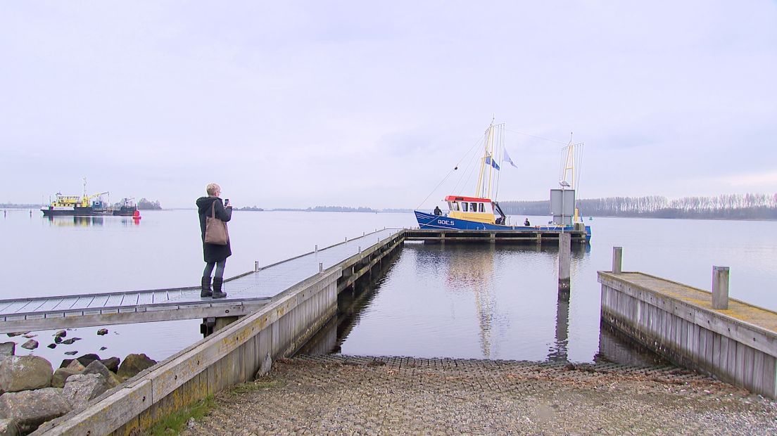Het beeld dat het slecht gaat met de paling in Zeeland kan in de