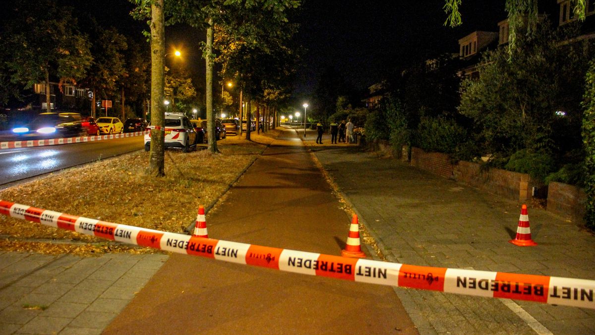 Knallen gehoord in Leeuwarden, politie onderzocht 'schietpartij' | Bestelbus brandt volledig uit in 
