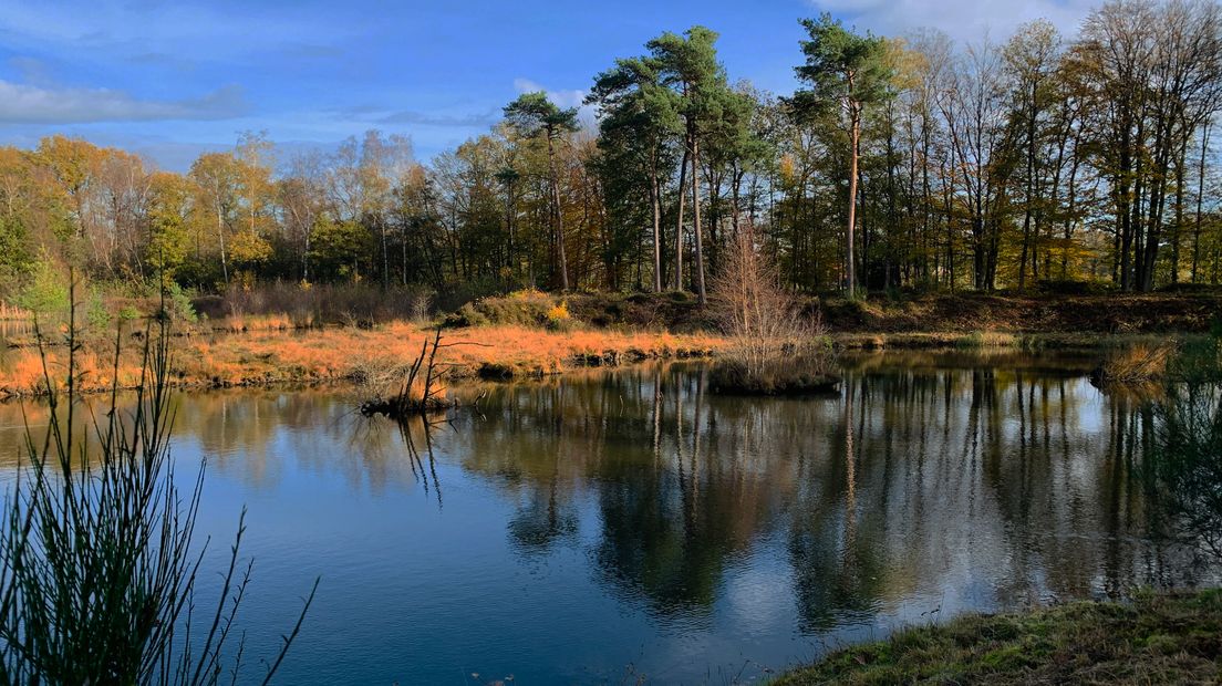 Nonnenvennetje.