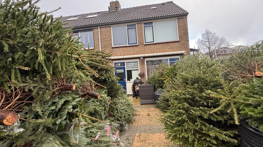 In de achtertuin liggen meer dan 200 bomen