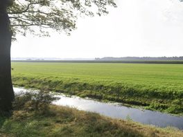 Omwonenden vrezen bedrijventerrein bij Zuidwolde: 'Dit gaat ten koste van groen'
