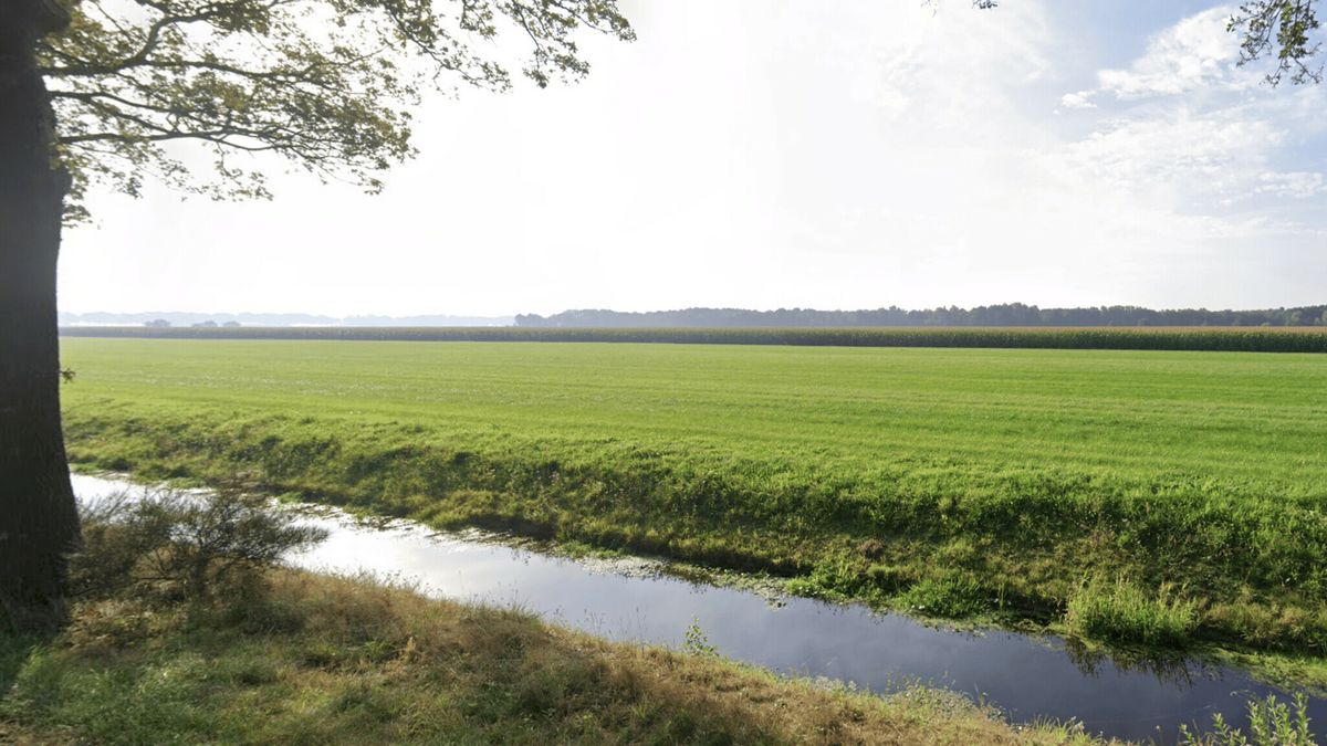 Omwonenden vrezen bedrijventerrein bij Zuidwolde: 'Dit gaat ten koste van groen'