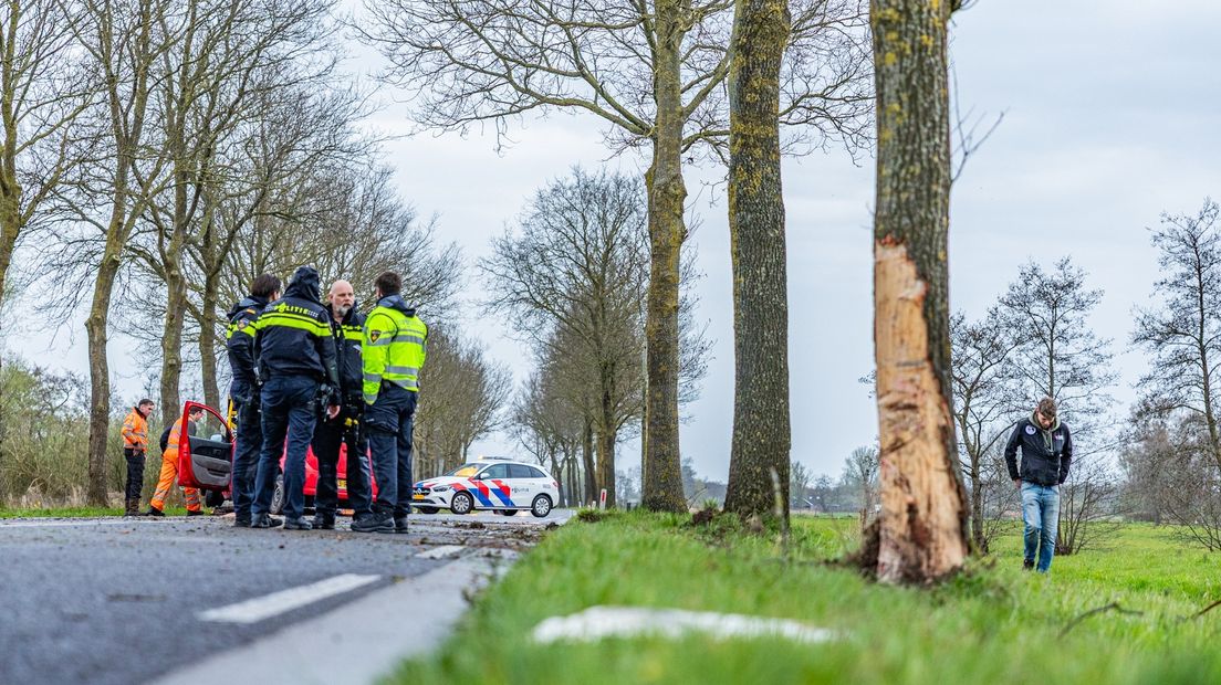 De getroffen boom