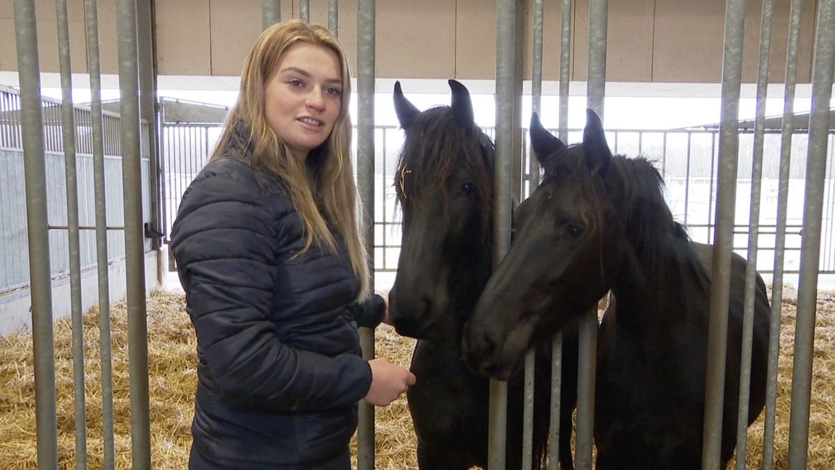 Dressuuramazone Lisanne Veenje runt imposant paardenpaleis in Vledder
