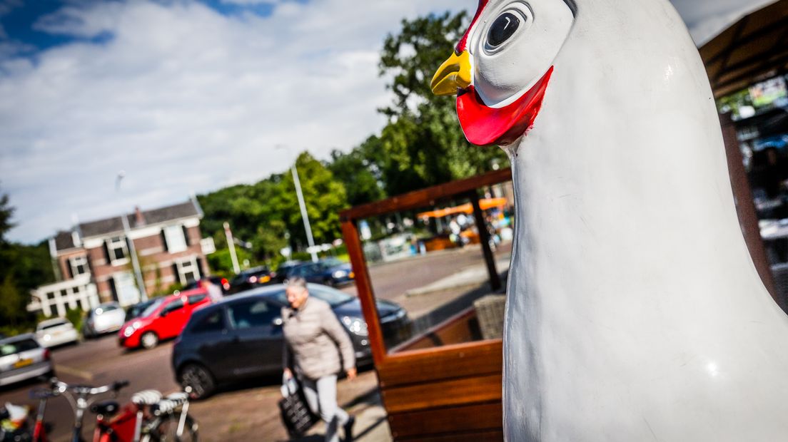 Een kip in het centrum van Barneveld.