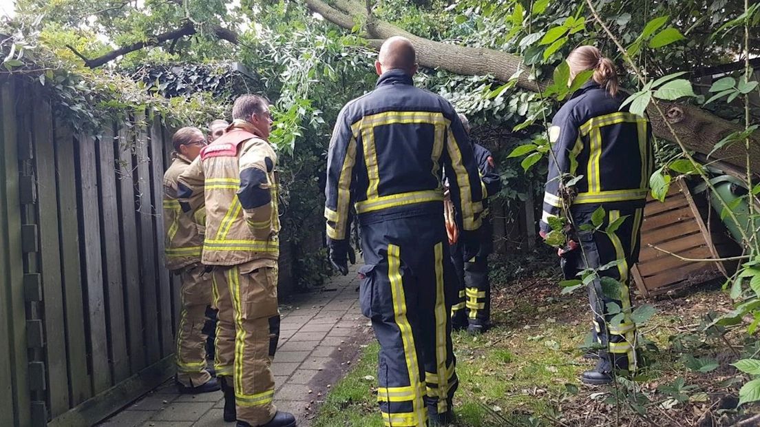 Boom valt op schuur
