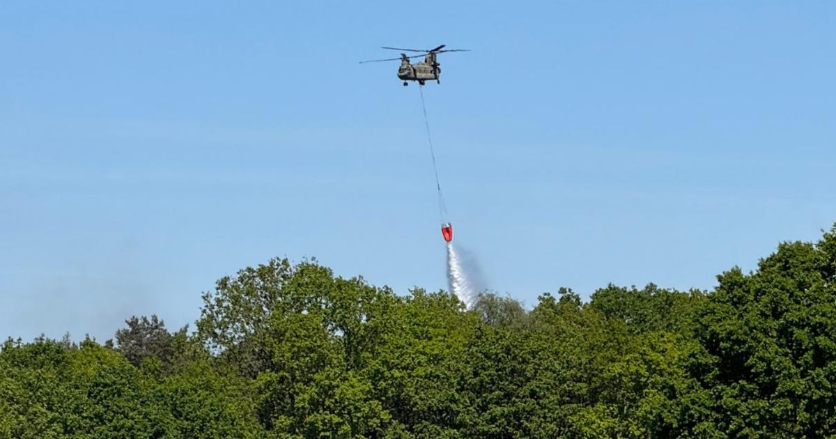 Brand Weert : ce qu'il faut savoir — image 2