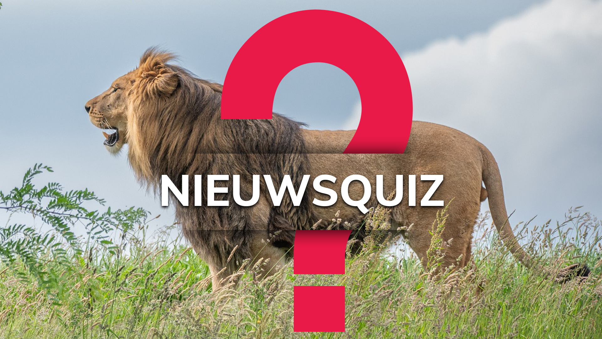 Wat Weet Jij Van Het Nieuws Van Deze Week? Maak De Nieuwsquiz! - RTV ...