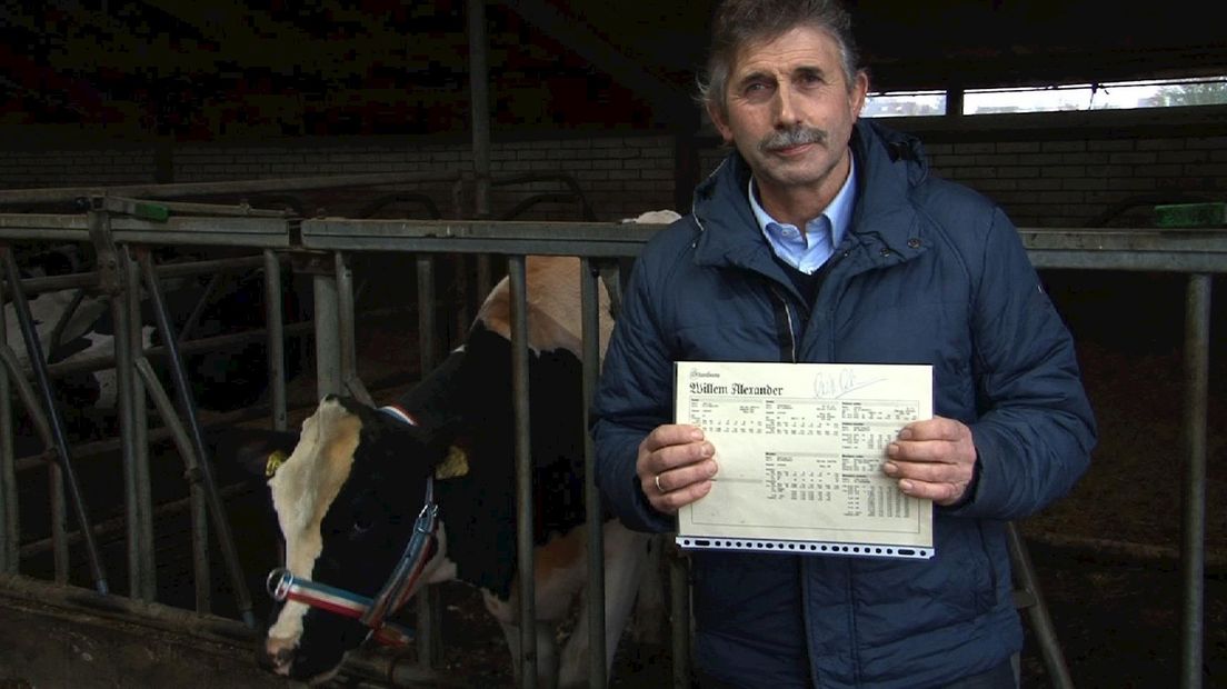 Egbert Koersen met koe Máxima