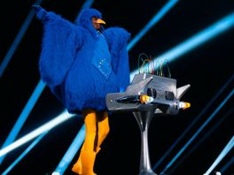 Joost Klein op Eurovisie Songfestival flankearre troch grutte blauwe fûgel