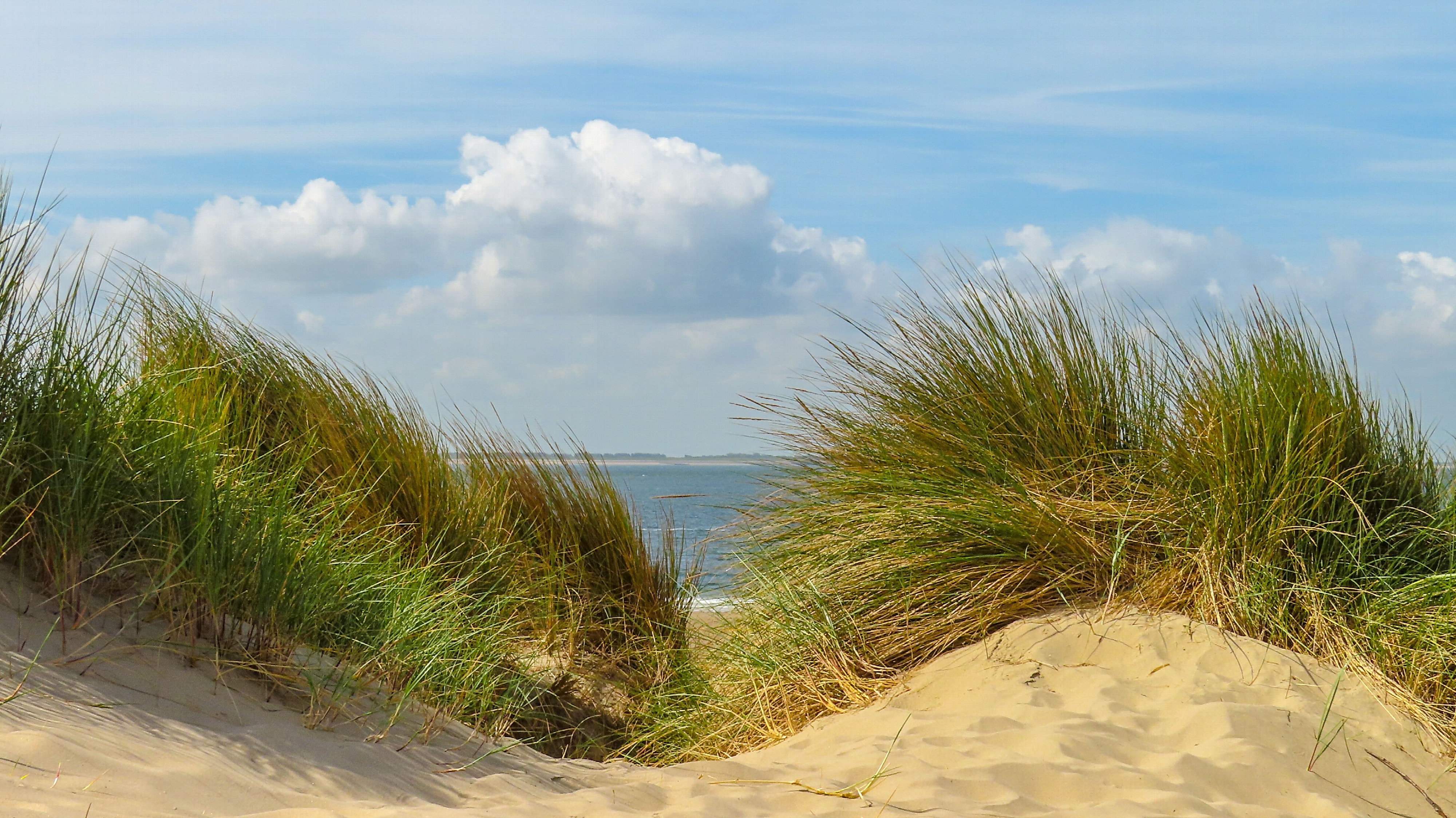 Afgelopen maand was de op één na warmste juni ooit sinds de metingen