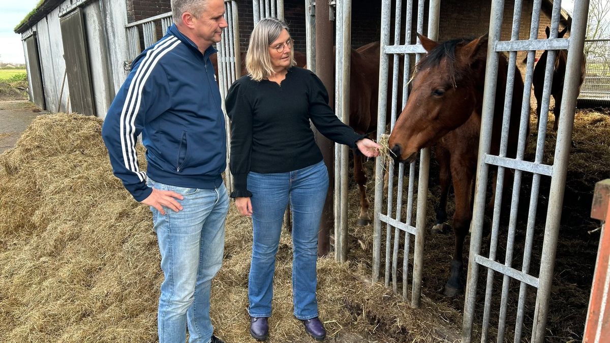Leerboerderij voor ‘thuiszitters’ in Kamperveen: ‘Kinderen komen hier tot rust’