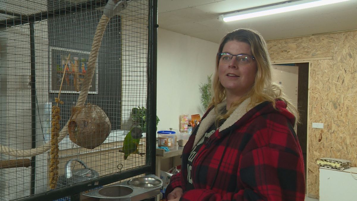 Janet uit Harkema geeft papegaaien een nieuw thuis