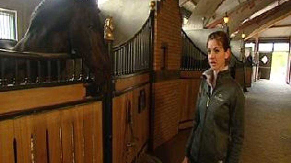 Dressuurtalent op een Fries paard