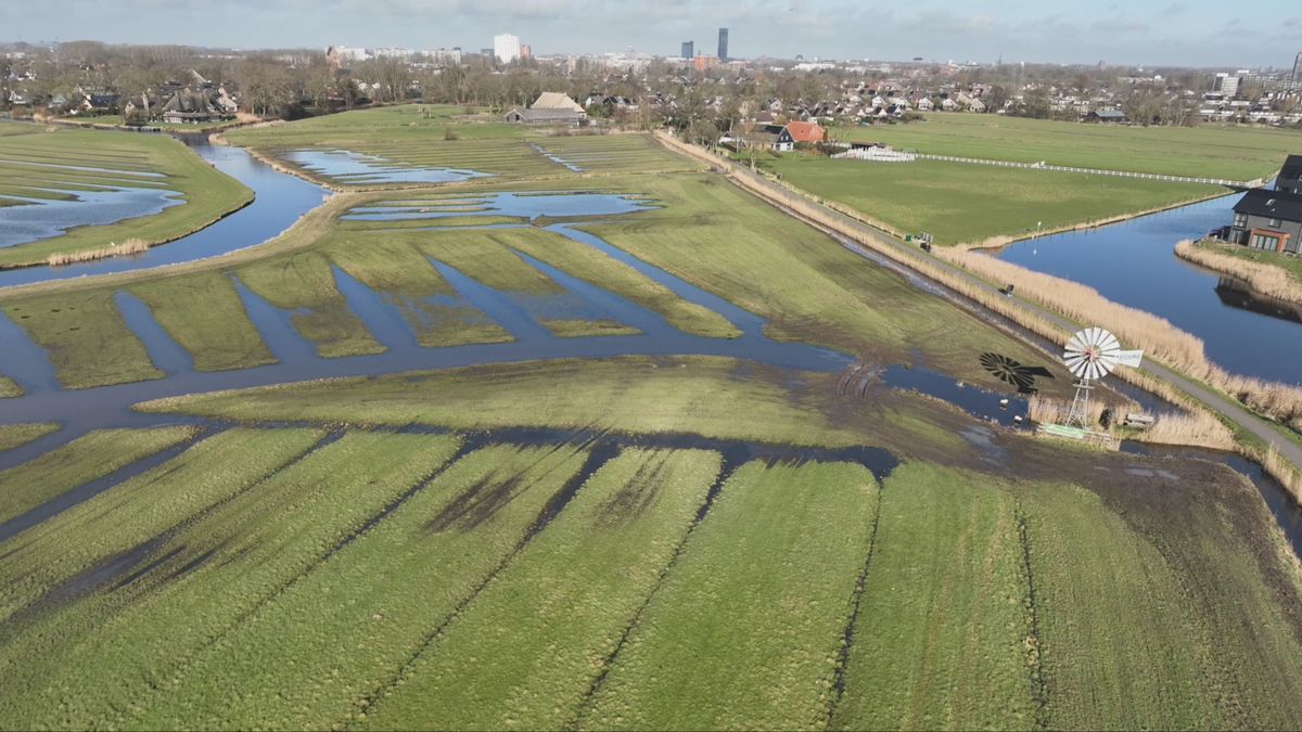 'Wat blijft er van je over?' Dichter fan Fryslân over bedreigde polder Leeuwarden
