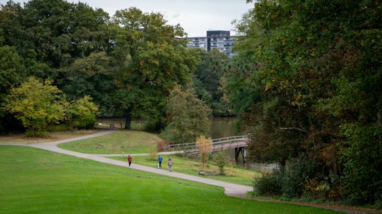 Donker Wesselerbrinkpark geeft onveilig gevoel, Enschede doet daar wat aan Home