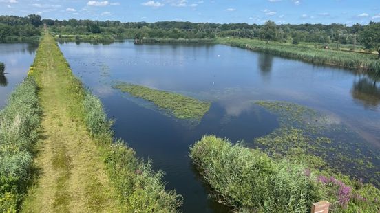 Vogelgriep vastgesteld bij Enschede en Bornerbroek Nieuws