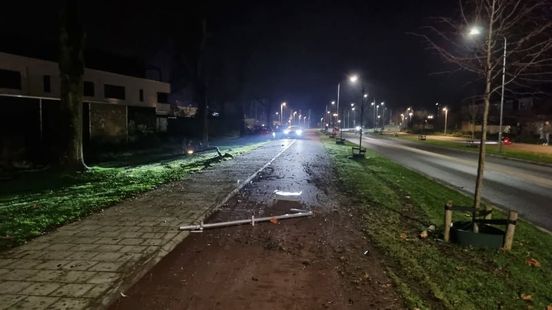 Ravage in Tiel • boom op spoor