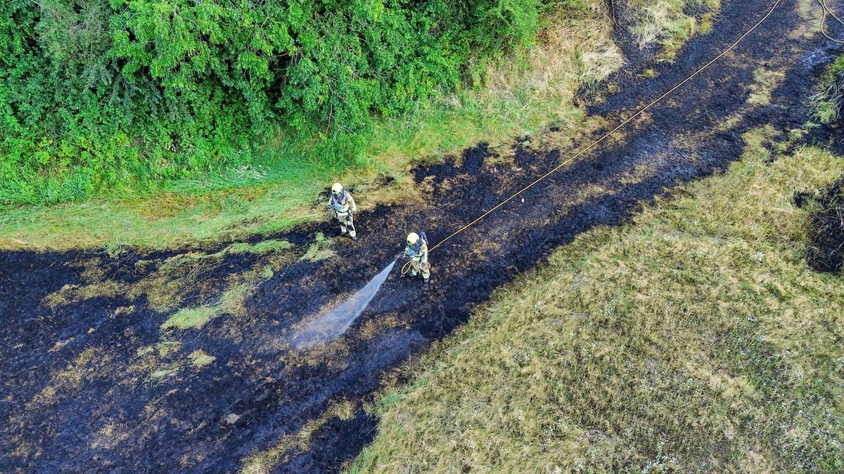 Flinke brand in Nijmeegs park