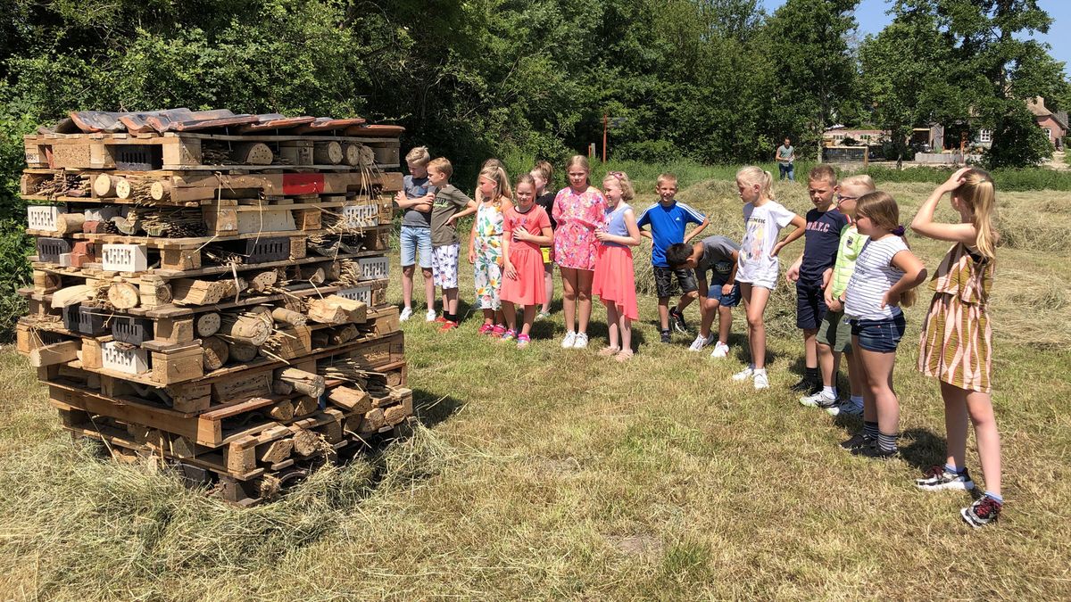 Natuurgebied De Baak in Lutjegast wordt praktijklocatie groene scholen