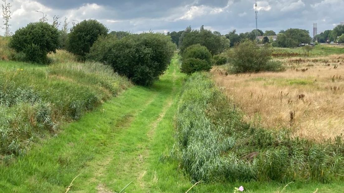 Een van de ideeën: van dit groen in Bangeweer een wandelpad van 2,5 kilometer maken