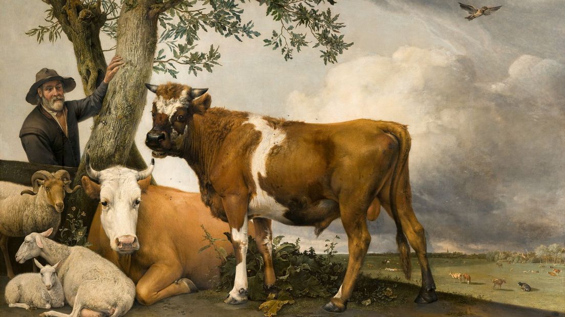 De stier van Paulus Potter