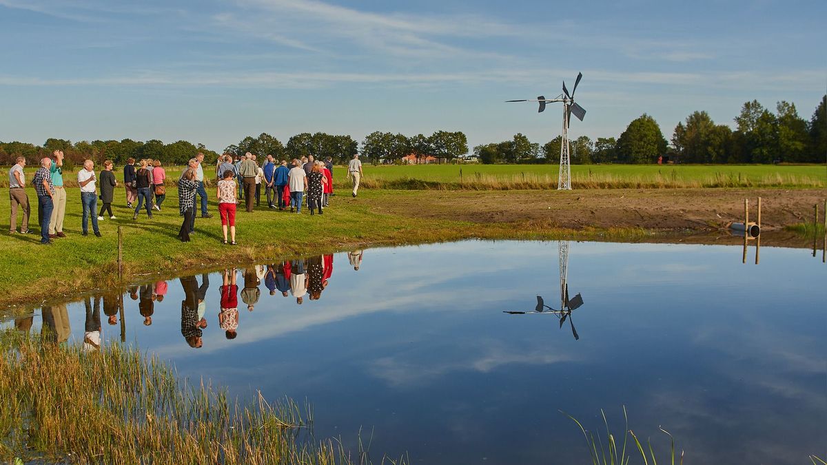 Meer provinciaal geld nodig voor weidevogelbeheer