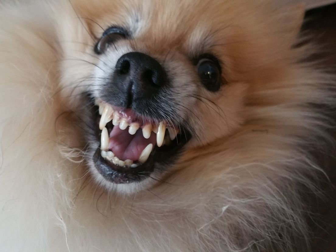 *grom*