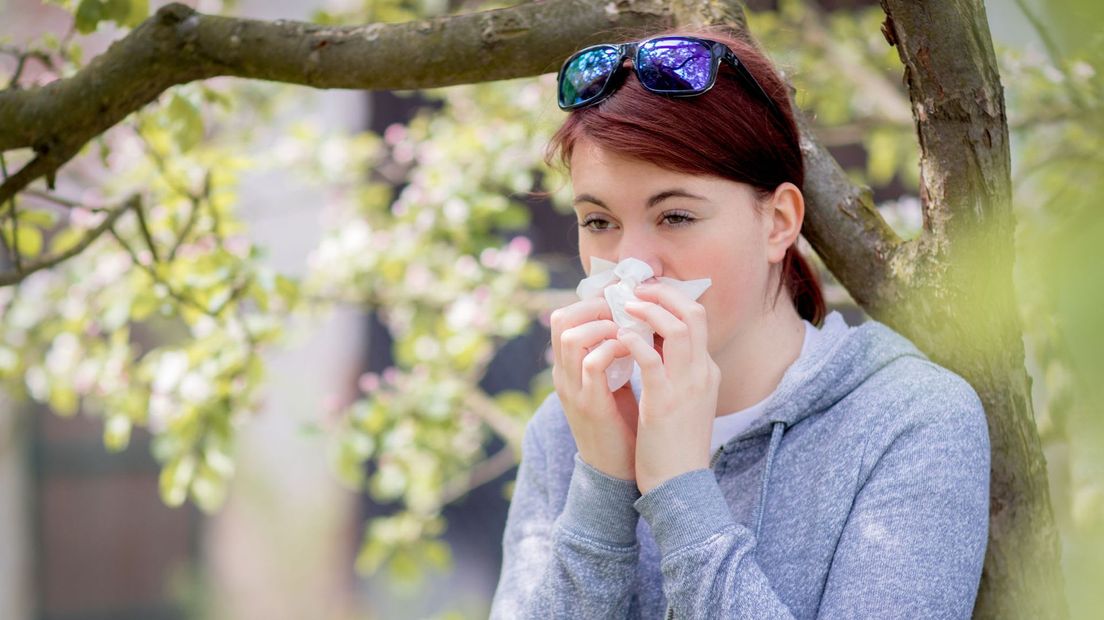 Hooikoorts, pollen, neus snuiten, stock