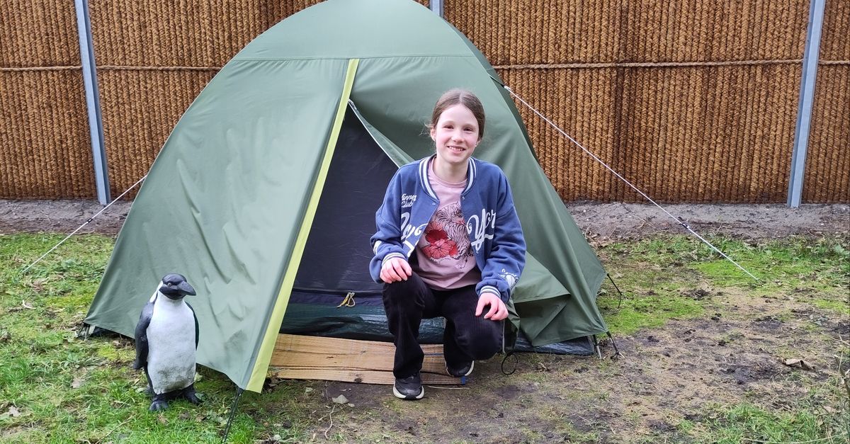 Isolde (11) sliep een jaar lang in een tent en zamelt geld in voor