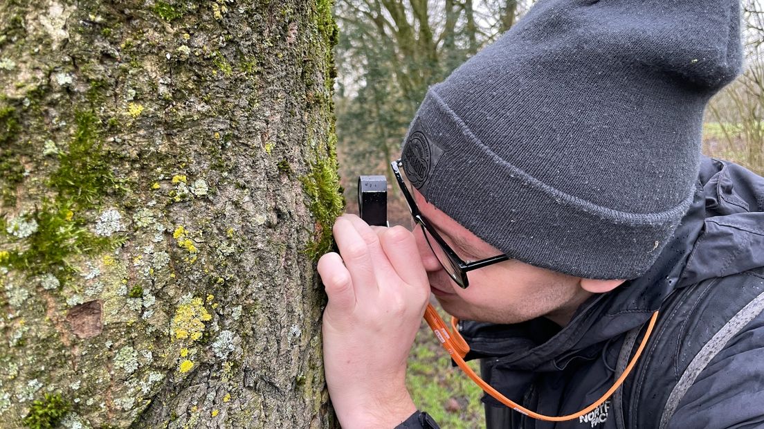 Lukas Verboom bestudeert een boom in het Stadspark