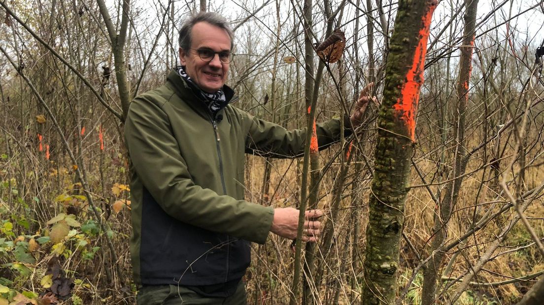 Wim Eikelboom bij de 'verkeerde' iep in het Zalkerbos