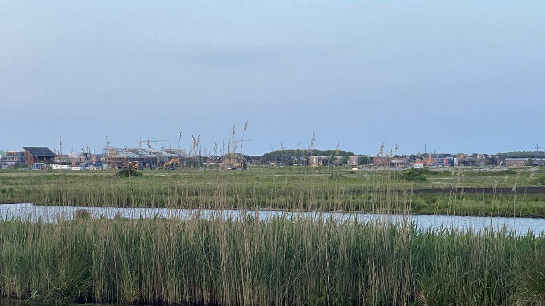 Kloosterveen woningbouw en ganzen