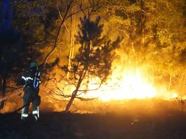 Brandweer blust brand in bosgebied Zuidwolde