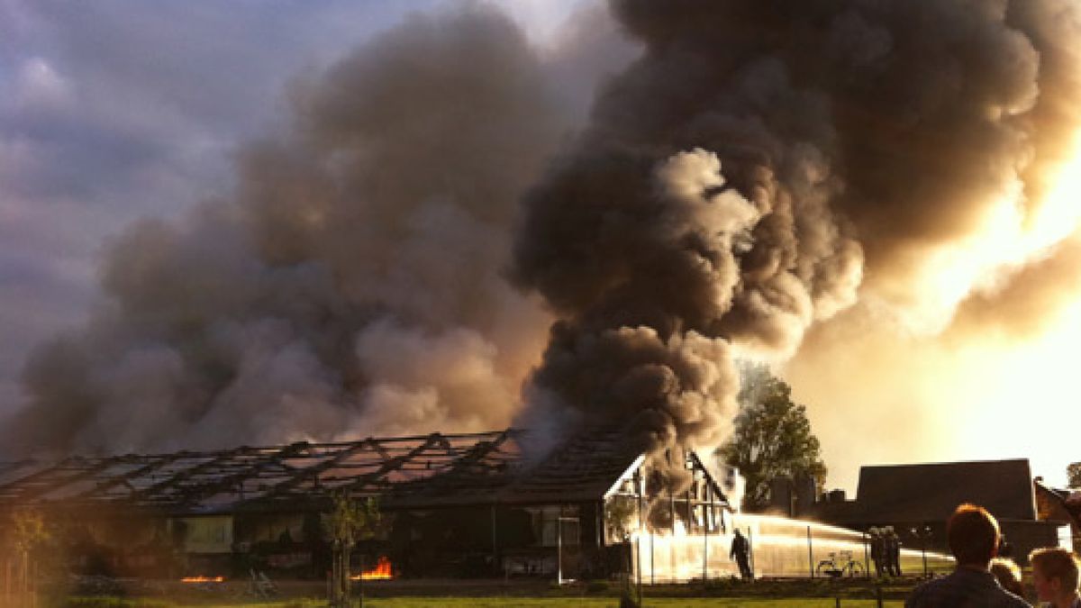 50.000 kippen dood bij brand Dreumel