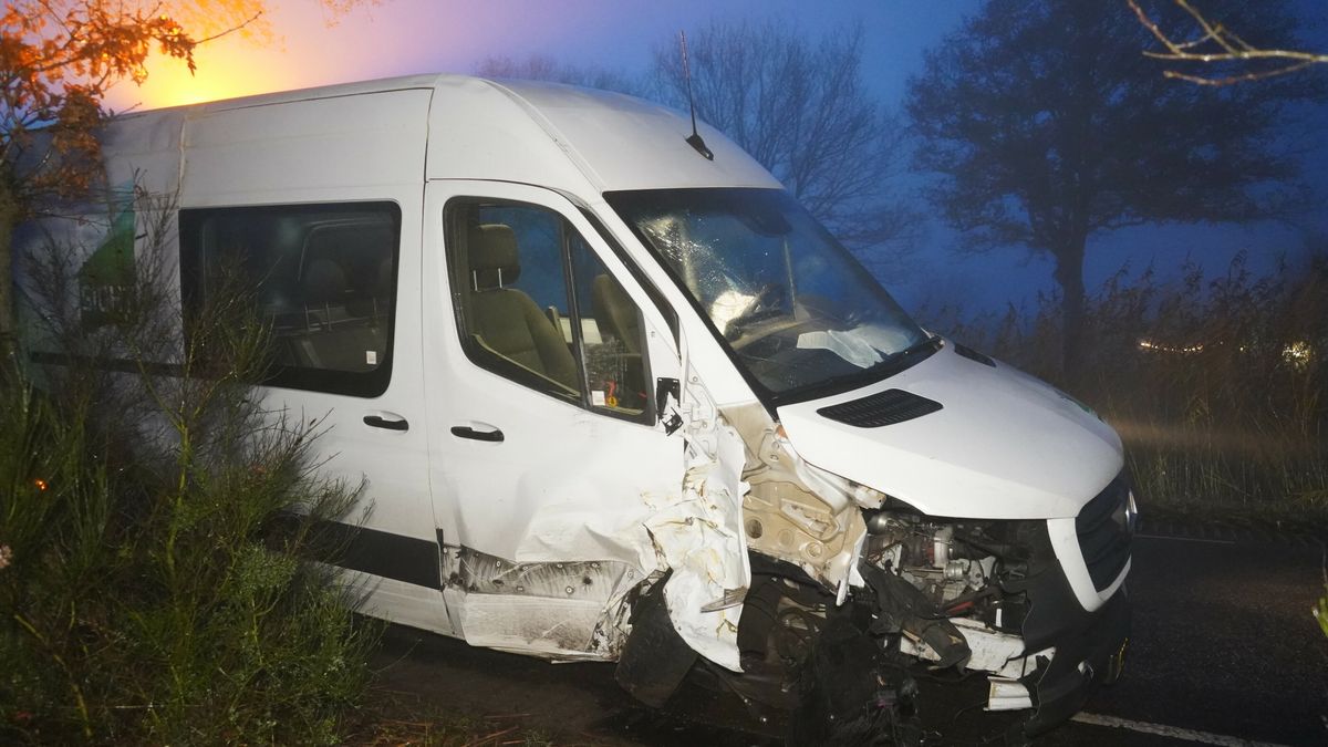 Busje botst tegen boom in Zwiggelte