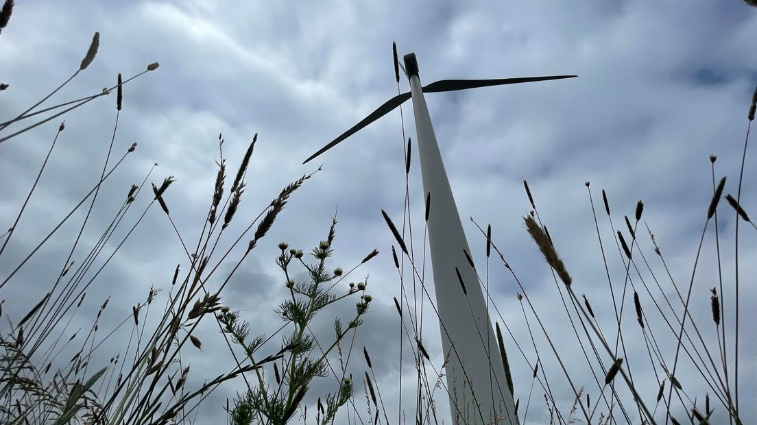 Windpark in Houten