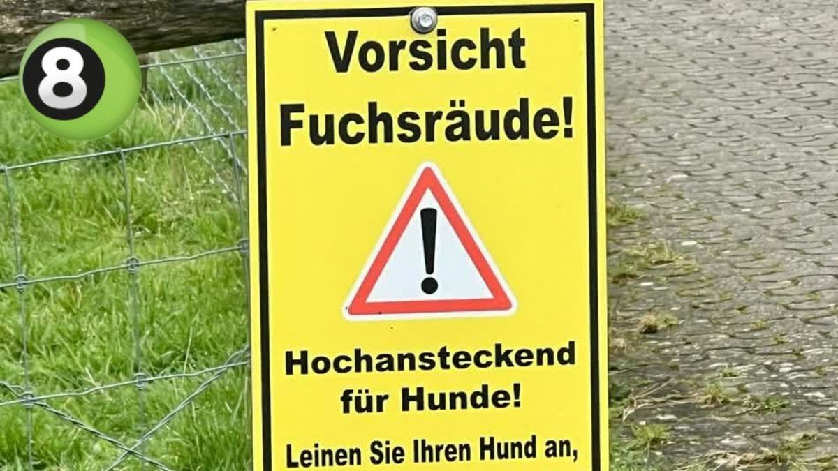 Mysterieus bordje waarschuwt voor vossenschurft in grensdorpje