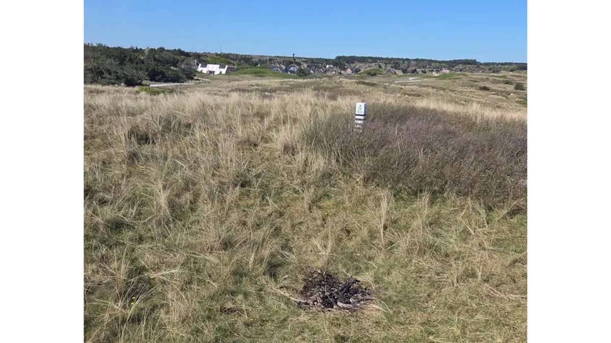 Zes jongeren naar Bureau Halt voor duinbrandje op Ameland | Auto op de kap in Ureterp