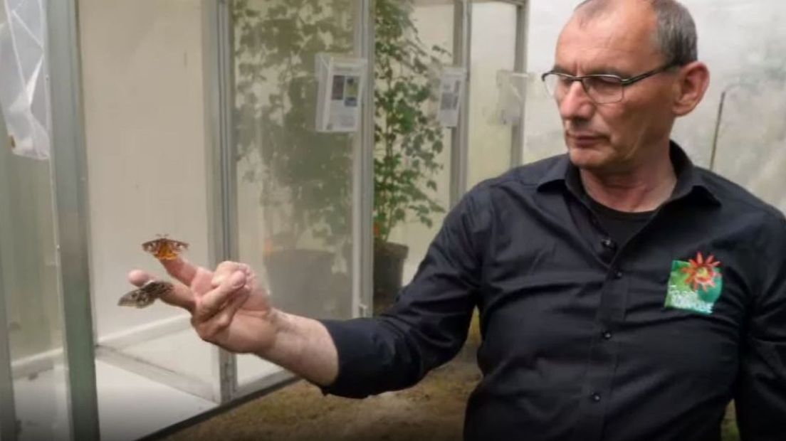 Piet met twee vlinders.