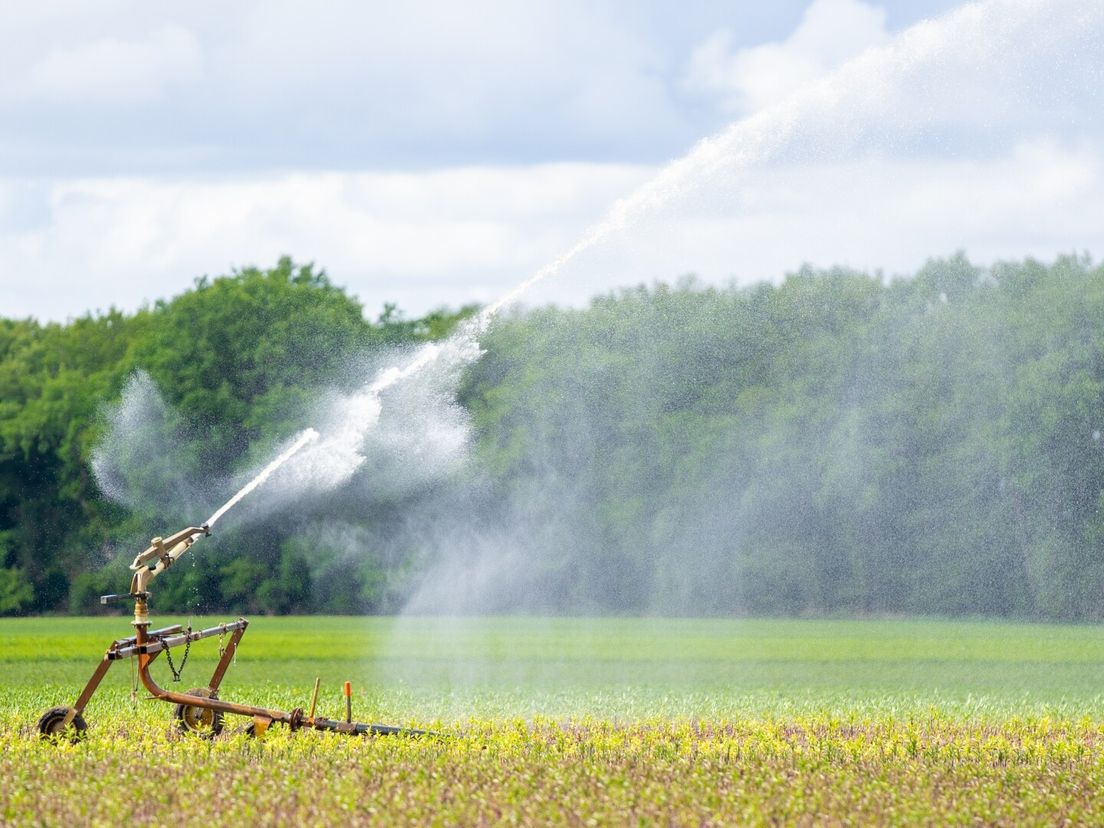 Een dreigend watertekort opgelost door regen? 'Ligt eraan hoeveel er valt'
