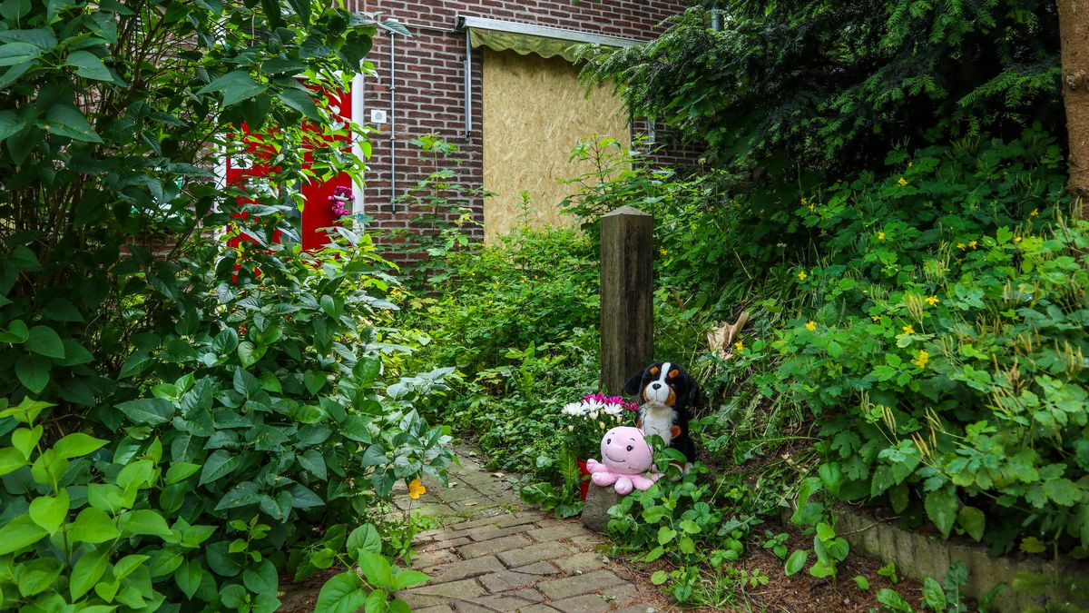 Moeder Vlaardings pleegmeisje doet oproep: 'Luister gewoon naar een kind'