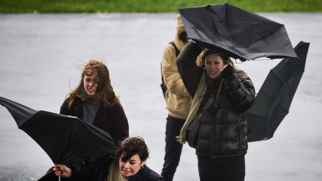 Paraplu in wind en regen