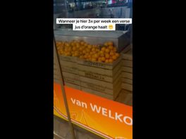 Muizen in broodjeszaak op Rotterdam Centraal, NVWA op bezoek