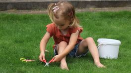 Het gras bij de buren is altijd groener, behalve met deze tips